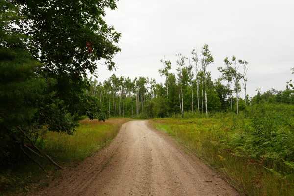 Sawdust Pile Trail