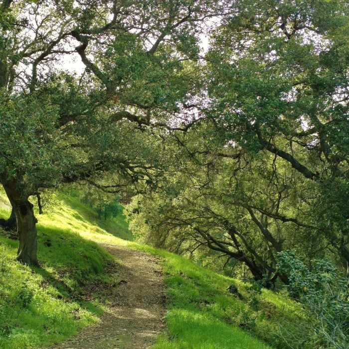 Near Hidden Springs Trail