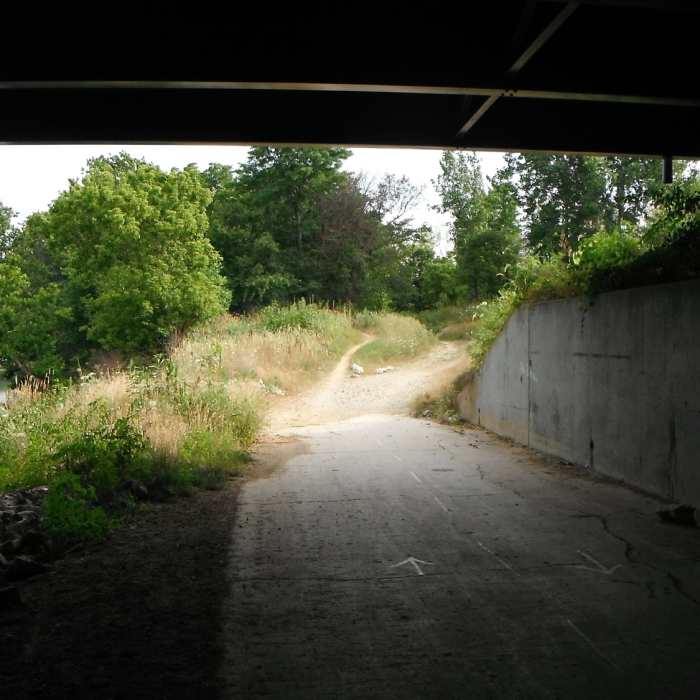 Under I-465 Near Town Run Park