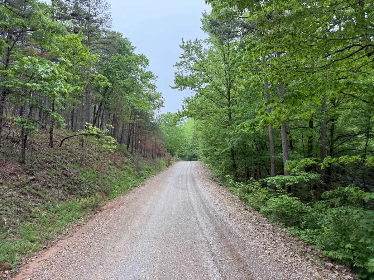 Polk County Road 601 trail photo