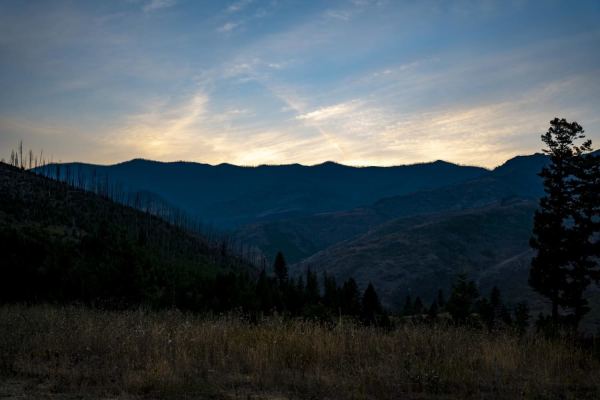 Pine Creek