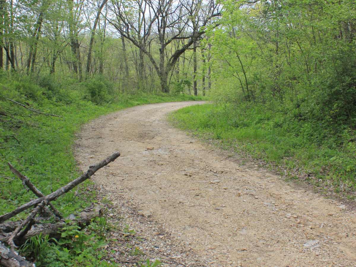 Big Springs Old Log Road photo 5