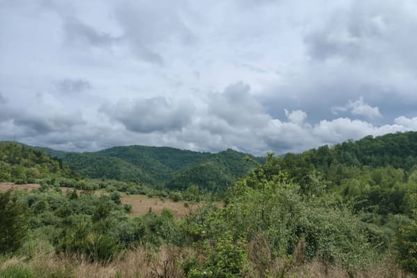 Four Seam Mountain
