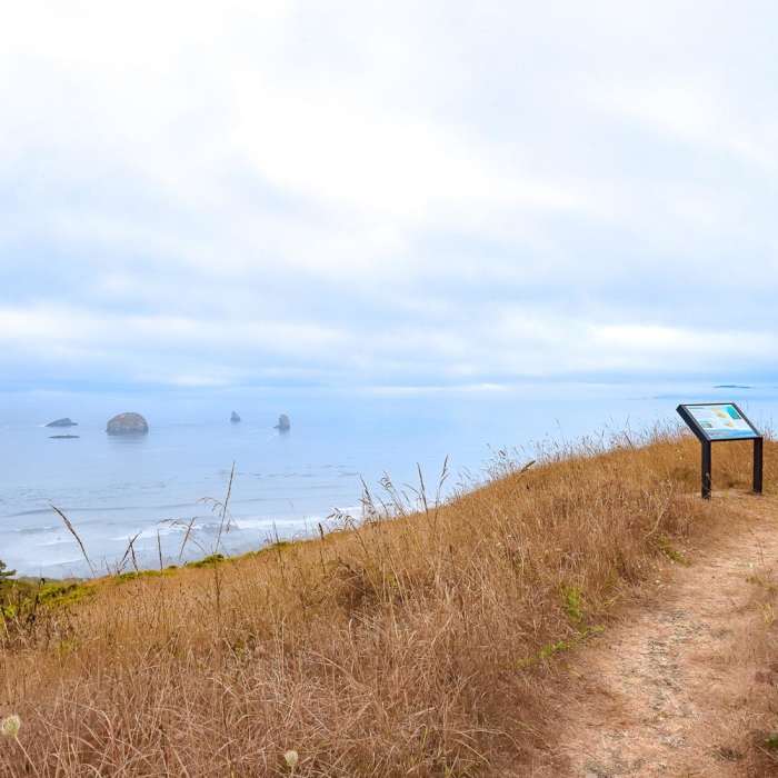 Near Fern Trail Near Fern Trail