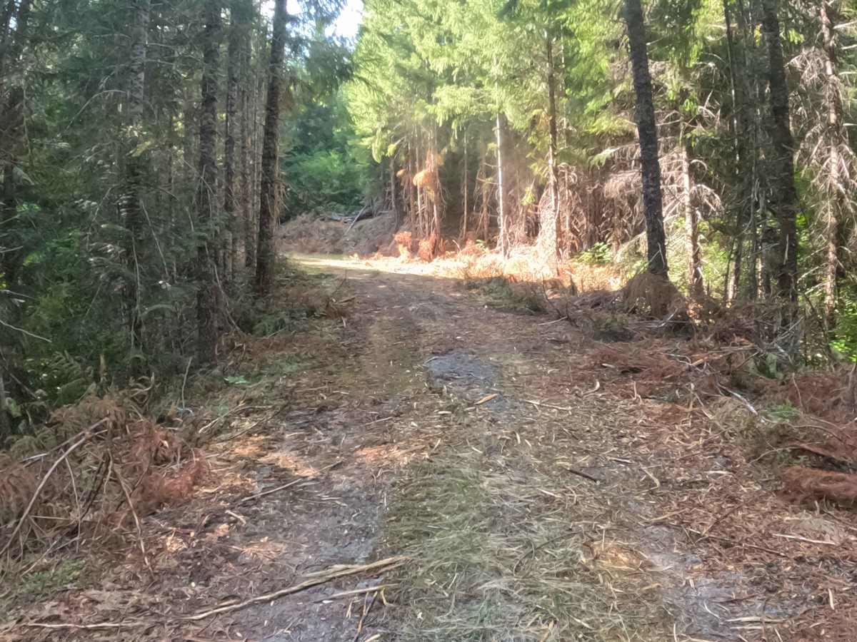 Parish Ridge Road - FS 2266350 photo 4