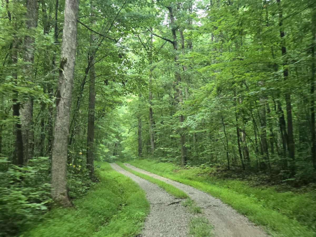 Blevins Cemetery Road photo 2