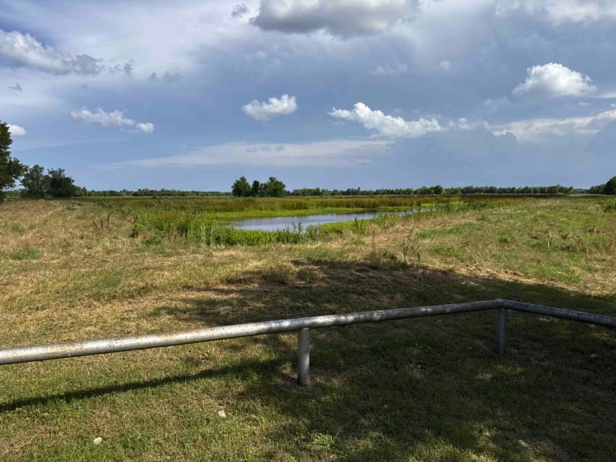 Red Slough photo 4