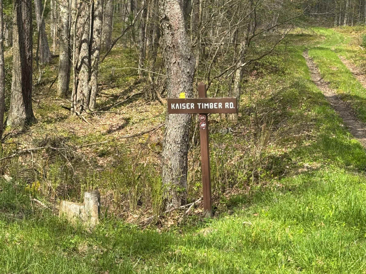 Kaiser Timber Road trail photo