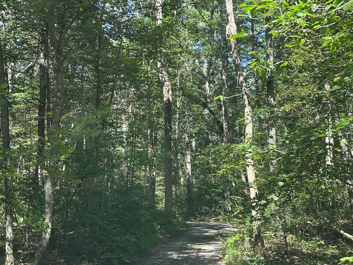 Duncan Hollow photo 4