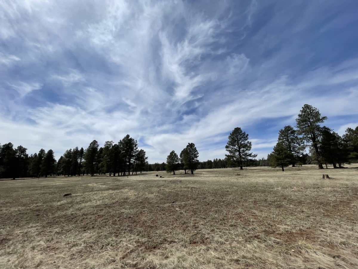 Old 354 Road to Pine Flats trail photo