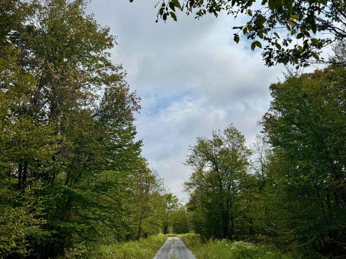 Wilson Switch Road photo 3