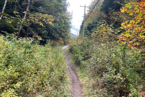 Old Government Road Single Track