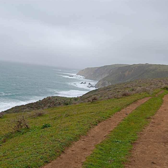 Near Tomales Point Trail