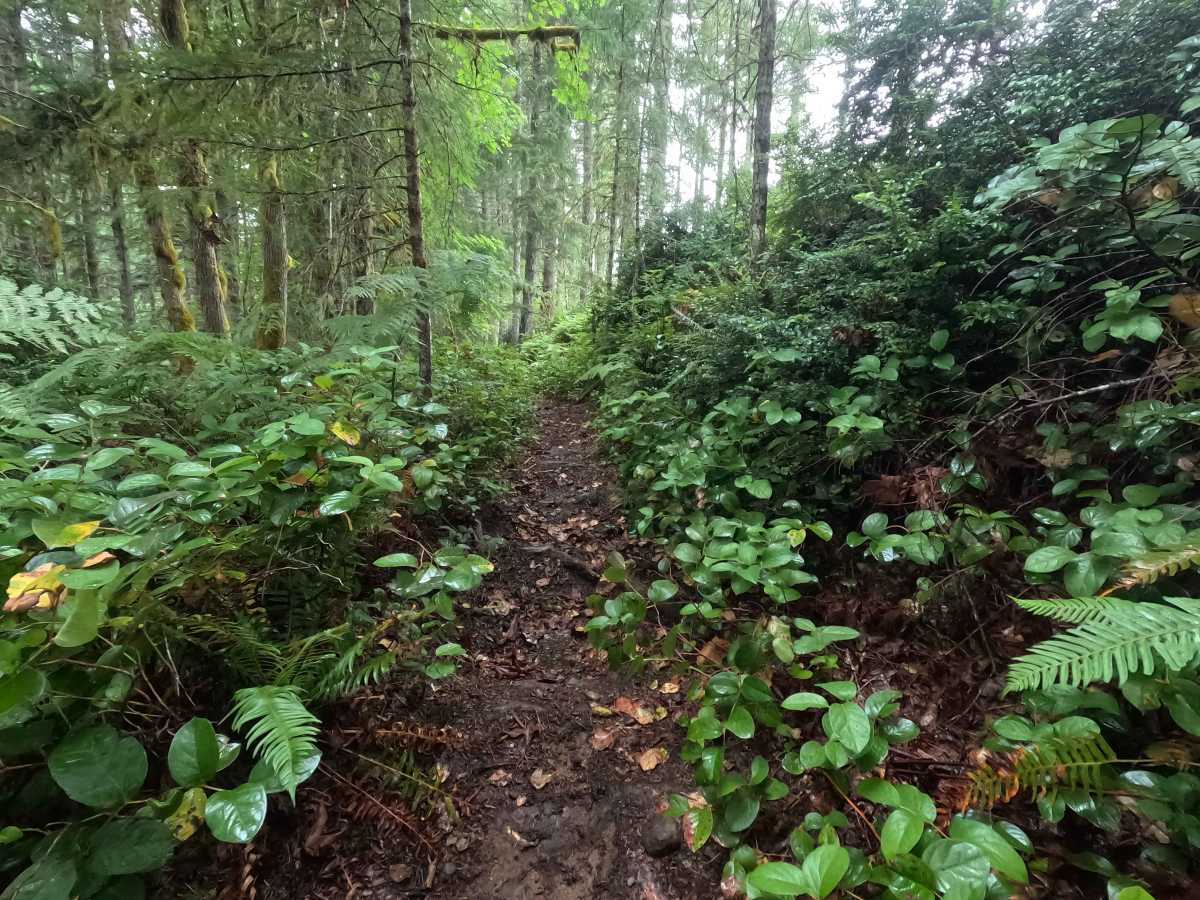 Twin Lakes Trail photo 2