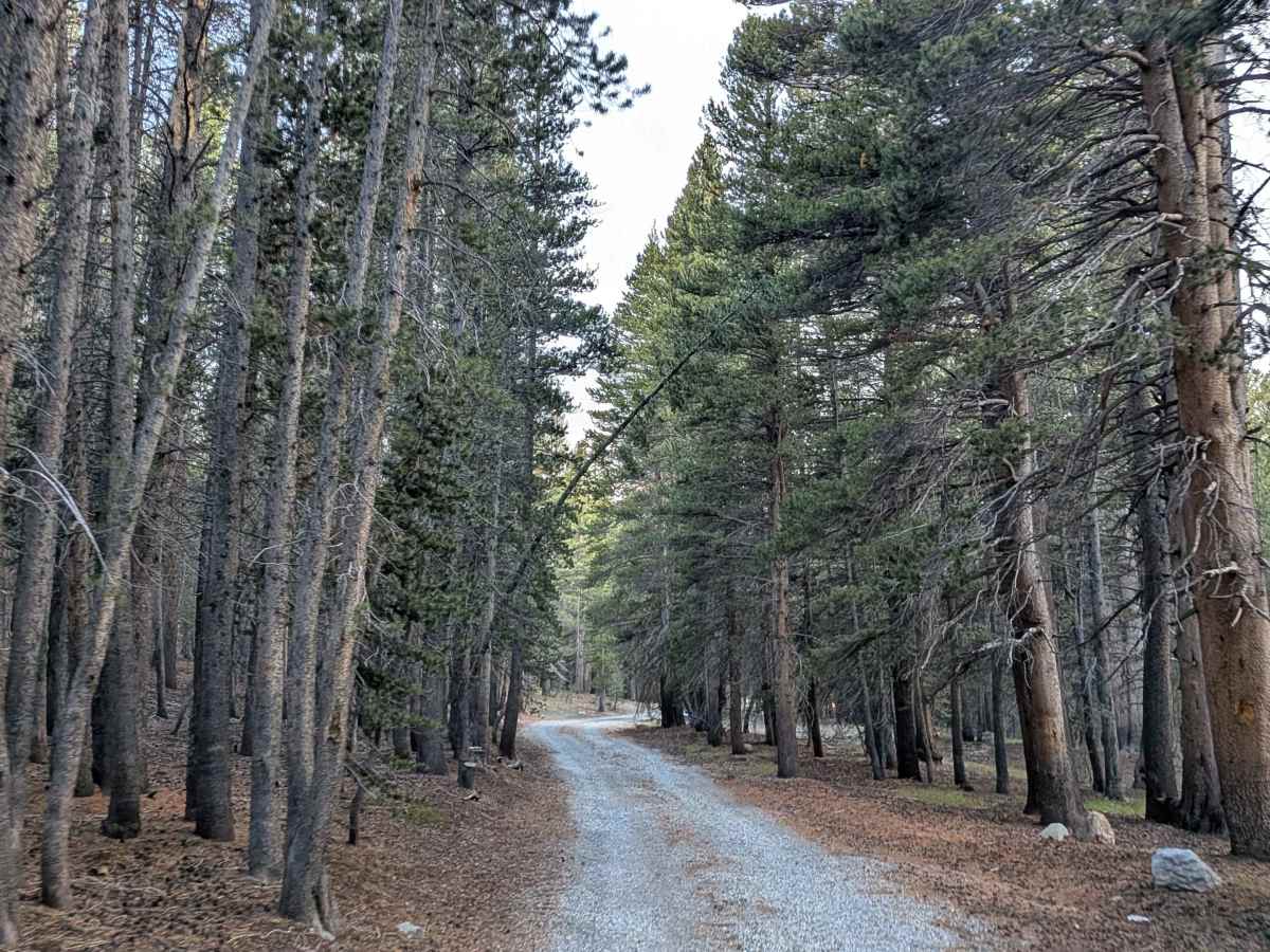 Castle Rock Road - FS 32139 photo 4