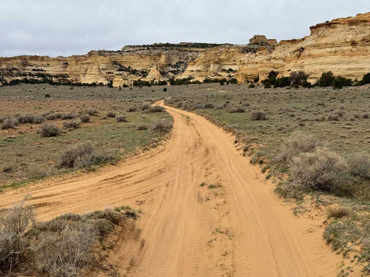 County Road 3630 photo 6