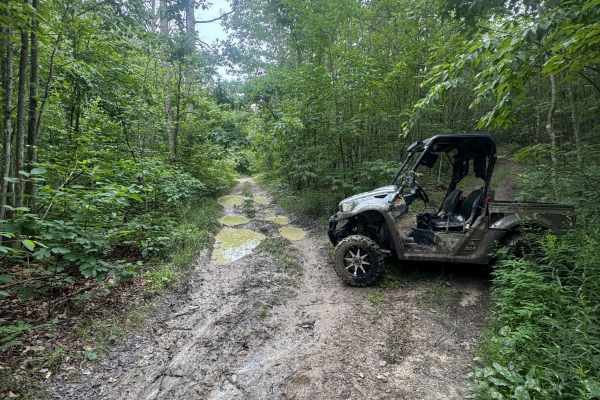 Trail 86