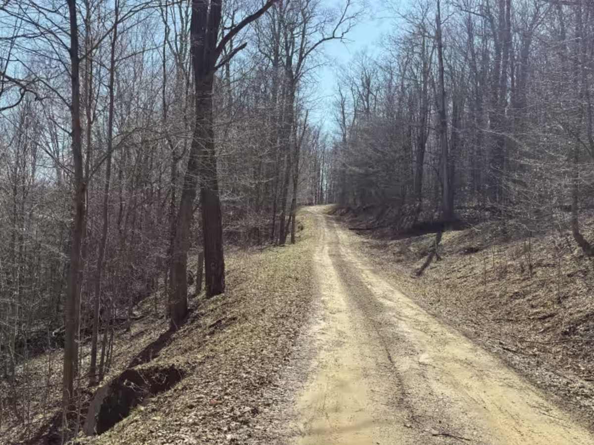 Wintergreen Run - FS 508 photo 6