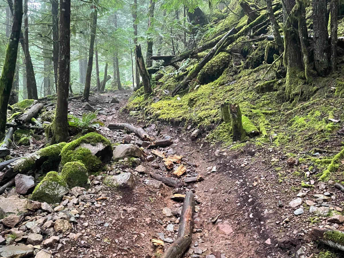 Ring Creek Ridge photo 3