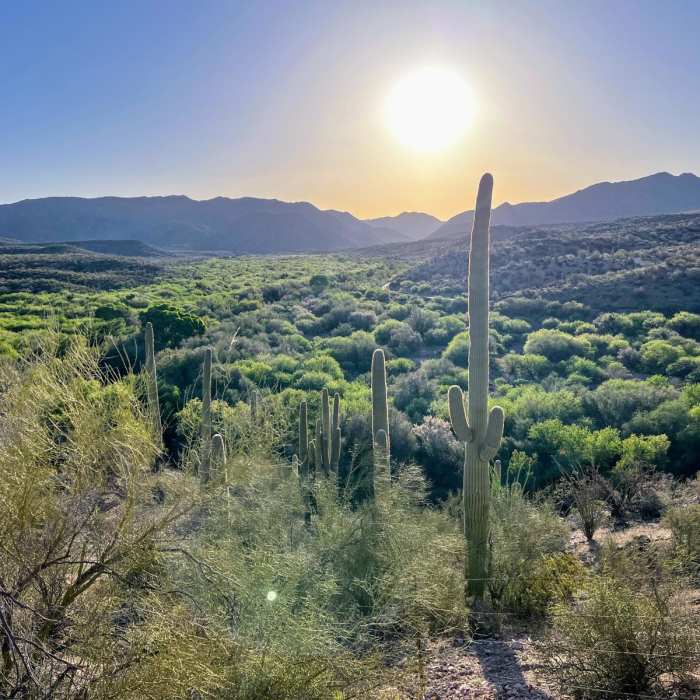 Near Arizona Trail Passage 16: Gila River Canyons