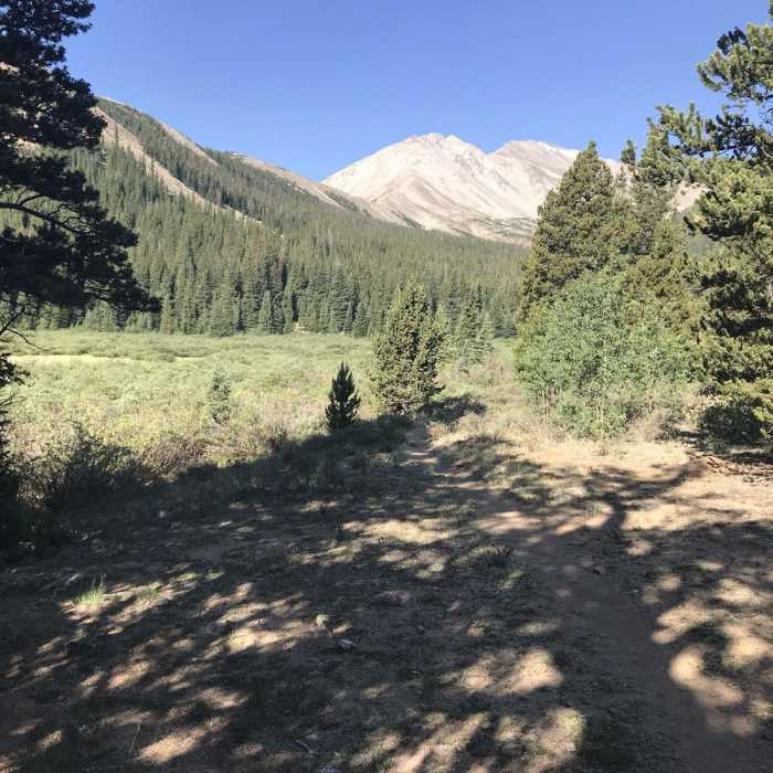 Near Colorado Trail: Segment 13
