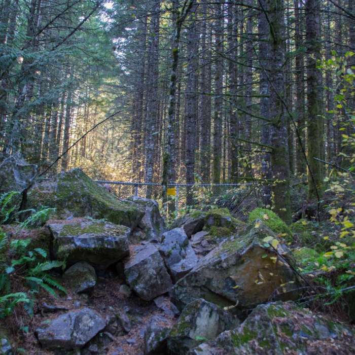 Near Horse Rock Ridge