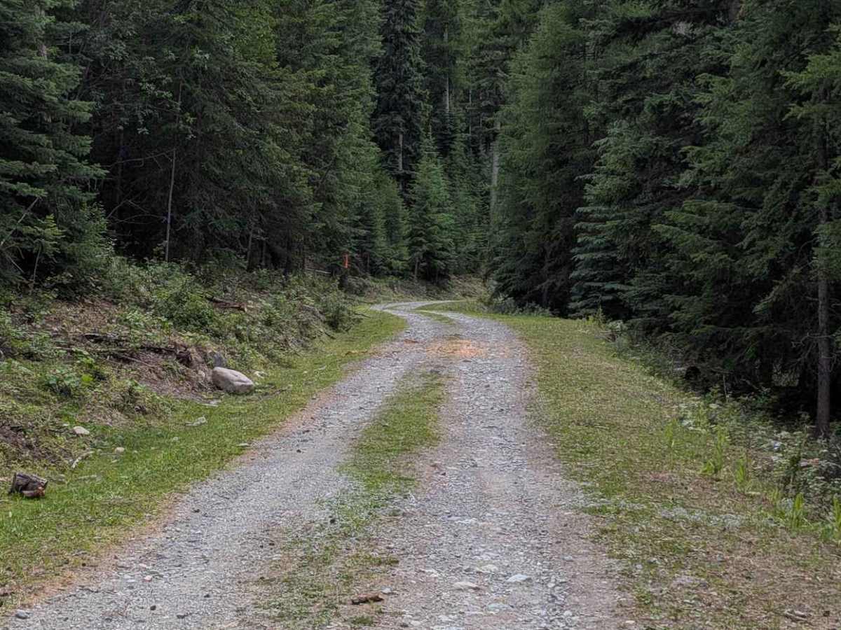 Twin Peaks Road photo 6