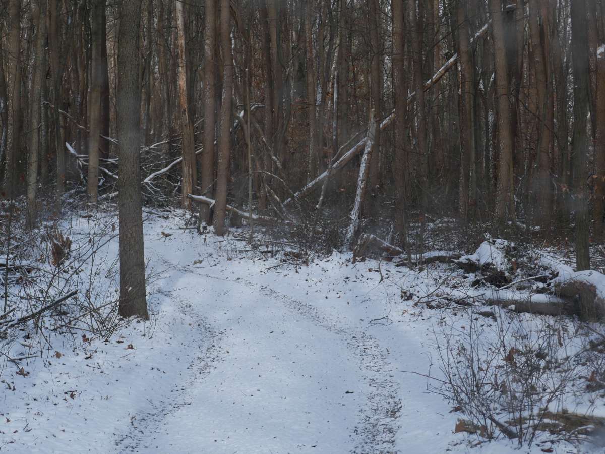 Trail 17 Lower photo 5