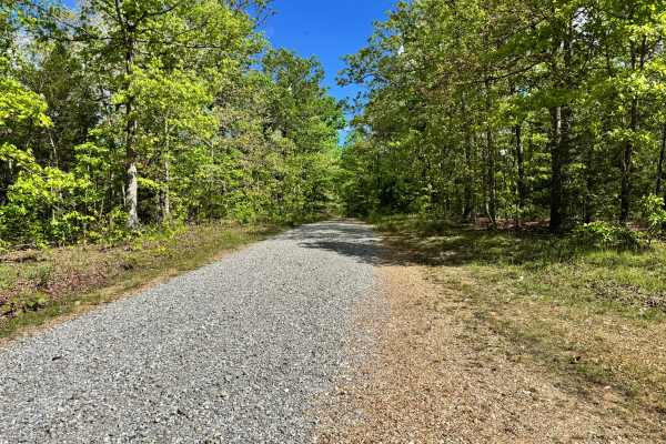 Hamilton Ridge - FS 1769
