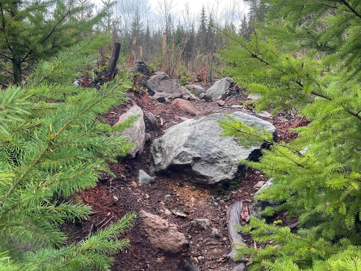 Advance and Vanquish trail photo