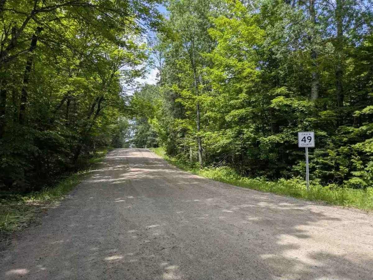 49 trail photo