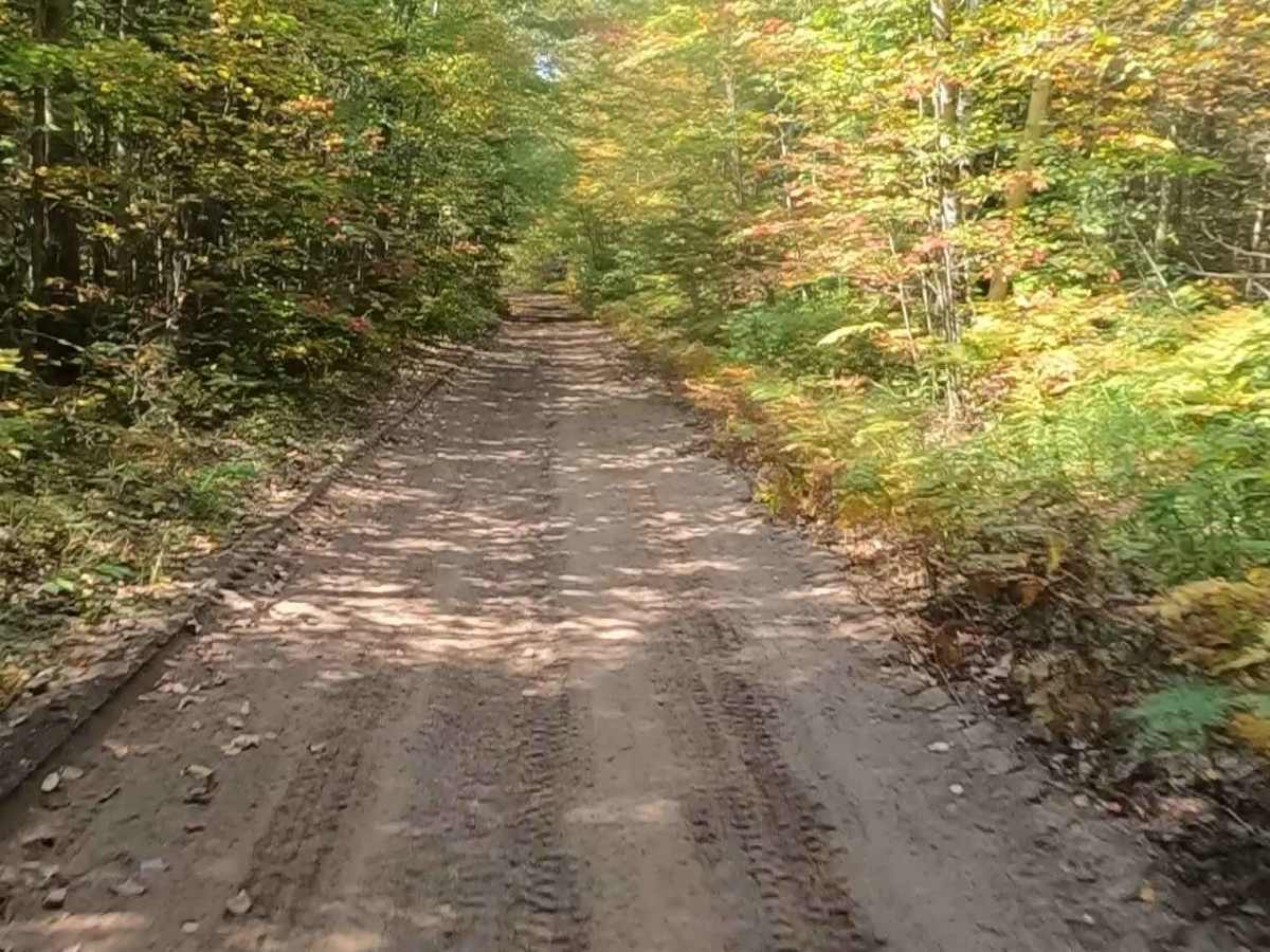 Caffey Truck Trail (ORV Route AI)  photo 6