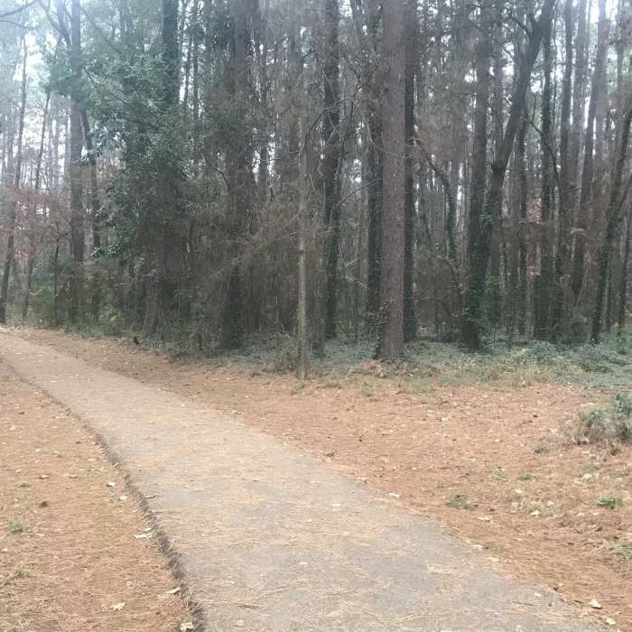 Near Julieanna Park Trail