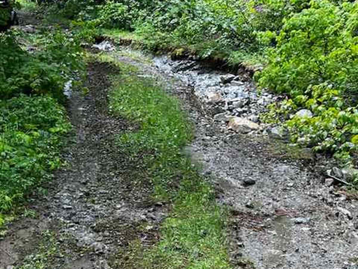 Dixon Mountain photo 5