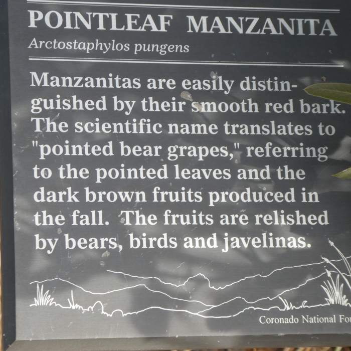 One of the many informational plaques along the trail Near Cochise Stronghold Trail #279