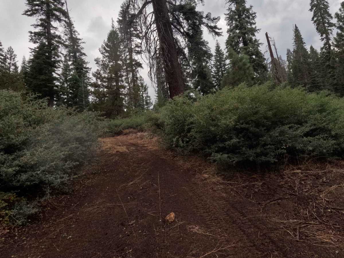 Minarets No 80 YA Spur - FS 5S012YA photo 5