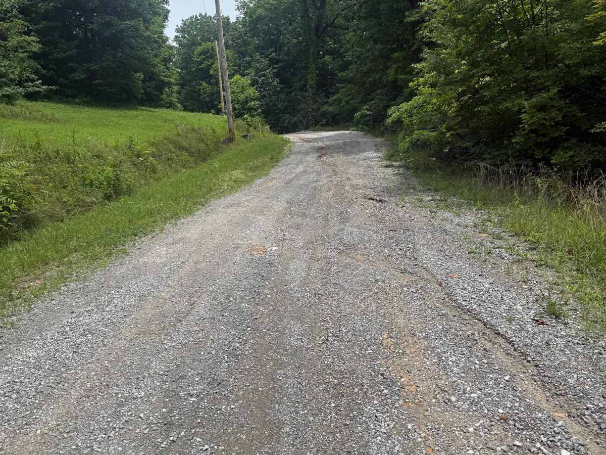Old Kentucky Road photo 4