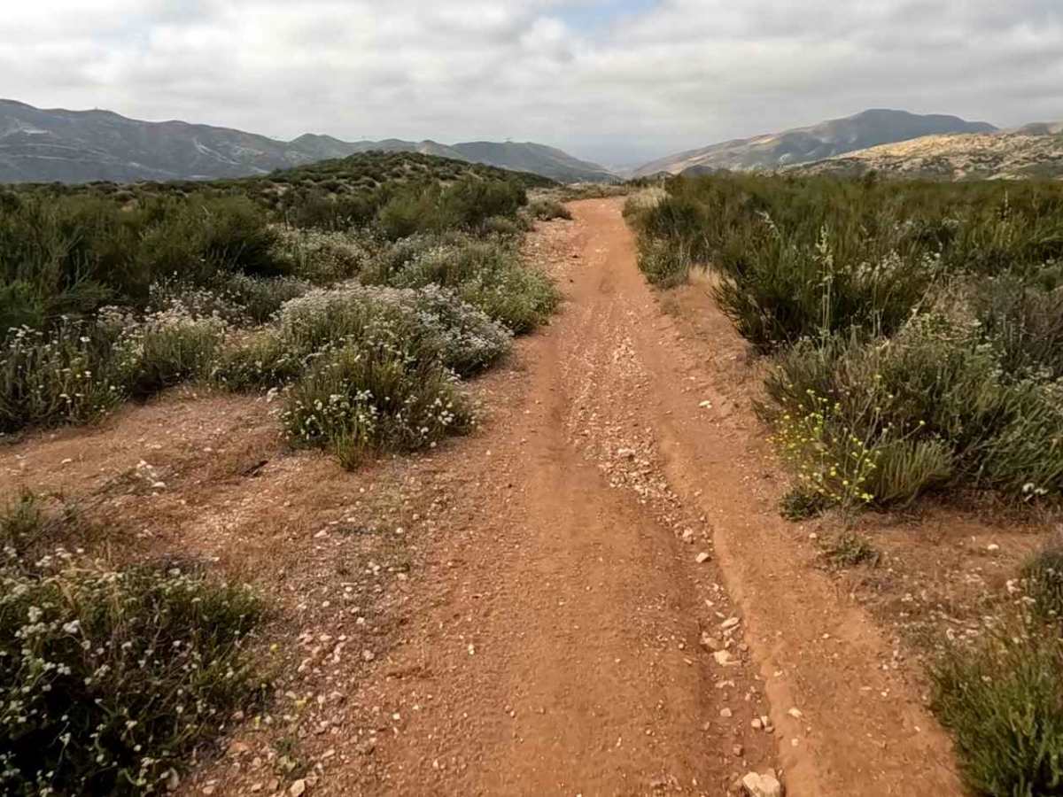 Buffer OHV Trail photo 2