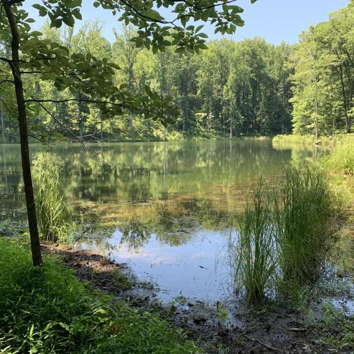 Near Ragged Mountain Reservoir Trail