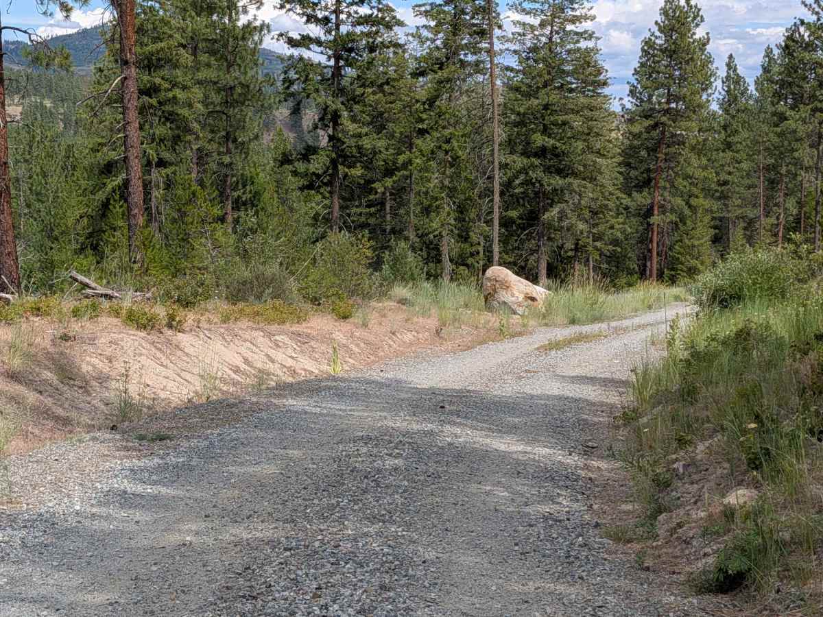 North Cook Mountain Road North half photo 3