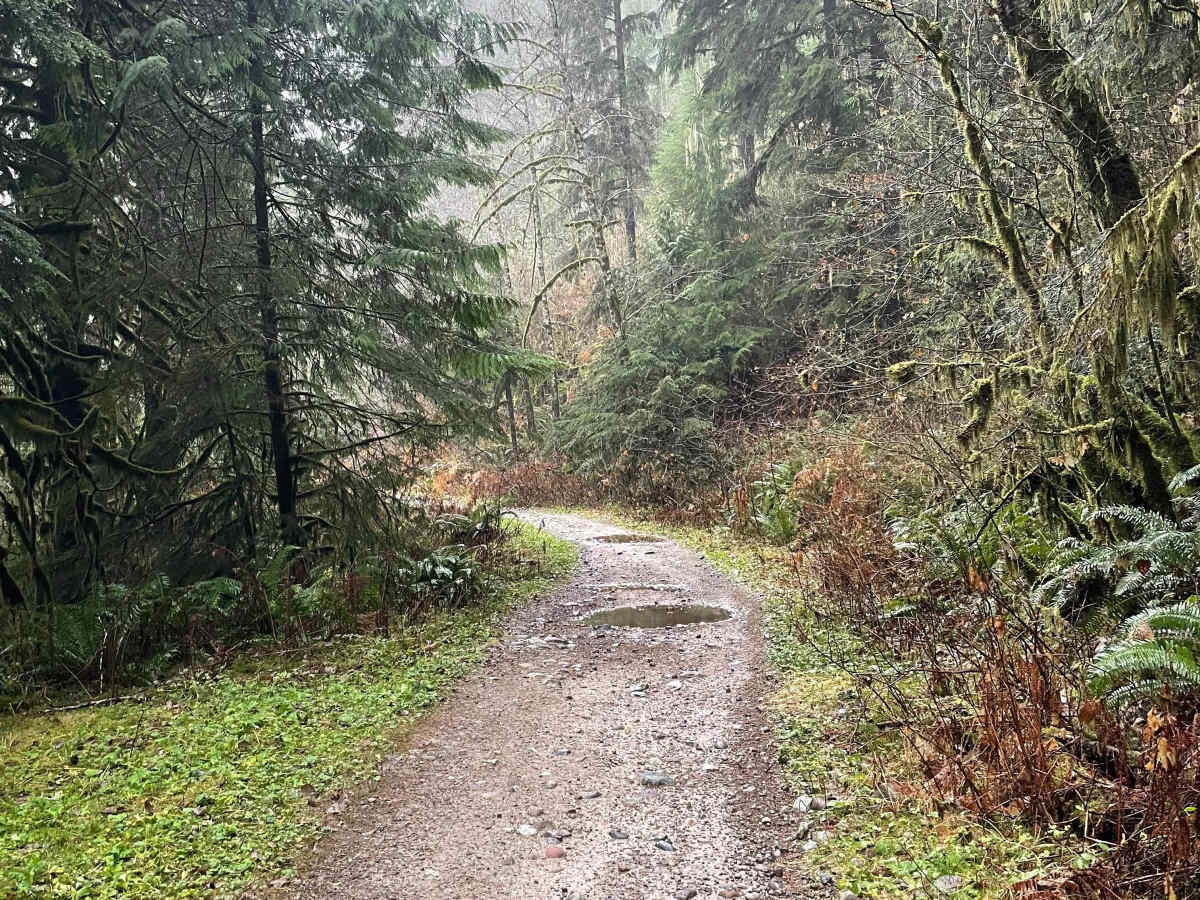 Ring Creek Rip photo 2