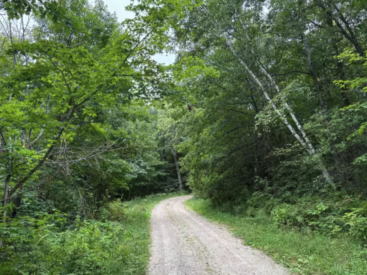 Waptus-Mckenzie Lake Road photo 4