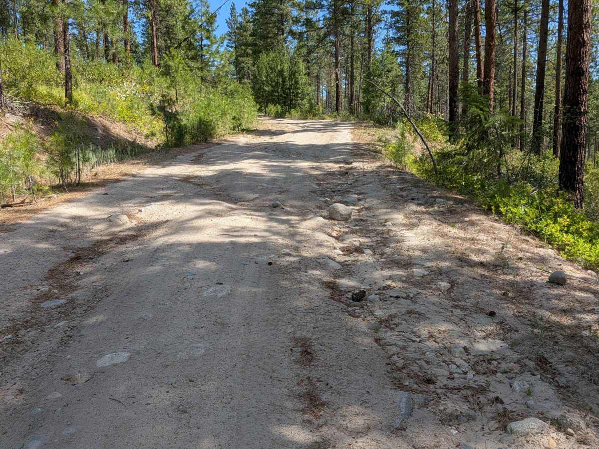 West Fork Rock Creek Road trail photo