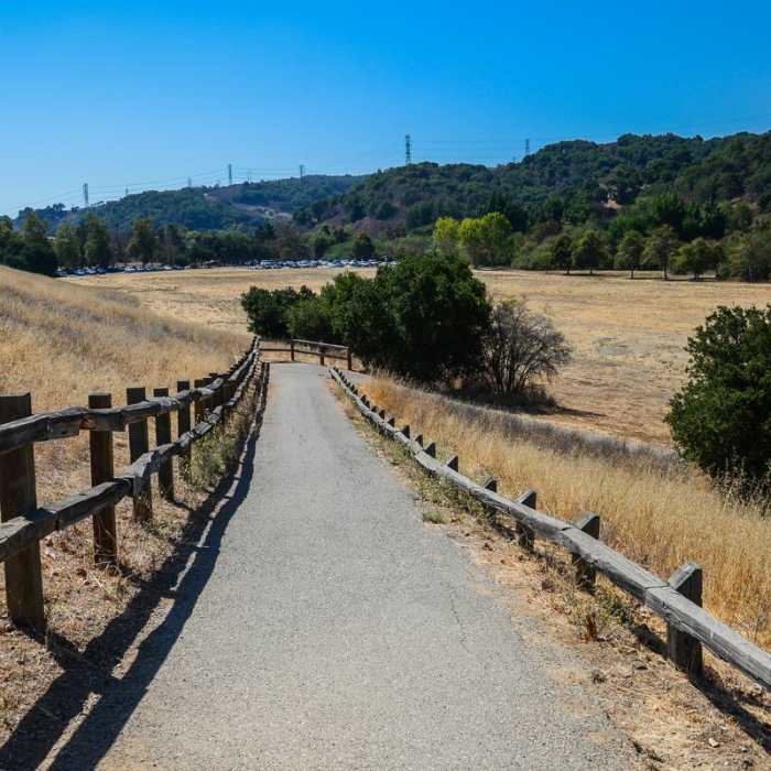 Near Lower Meadow Trail to Deer Hollow Farm