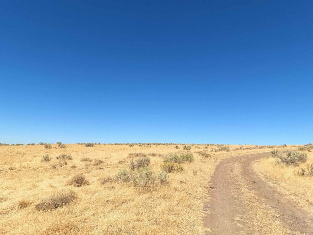 Jordan Craters Ranch Road photo 5