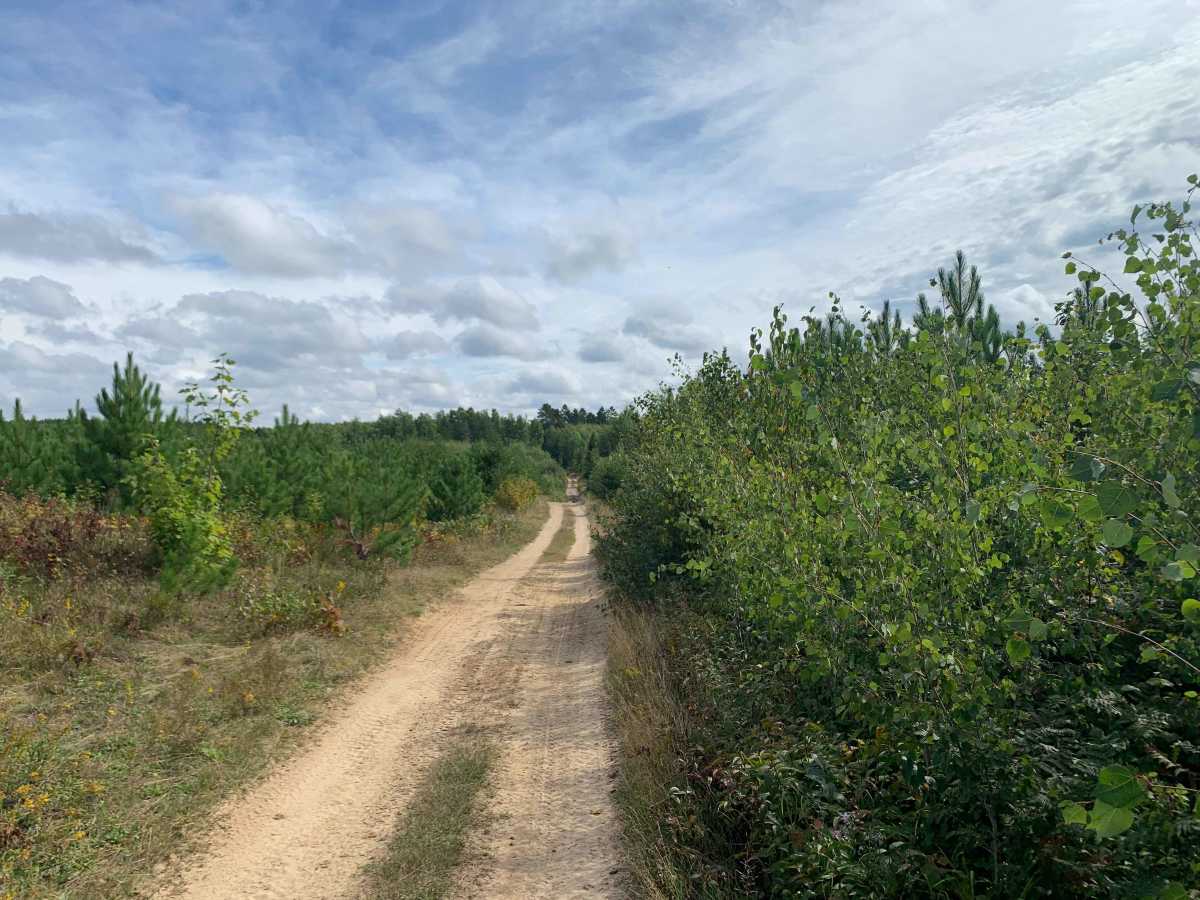 Taconite Trail - FS 90190 photo 4
