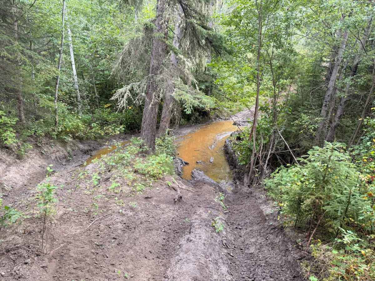 Aspen Loop Extended photo 6