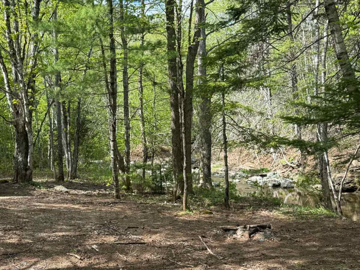 Pecks Creek Main Trail photo 6