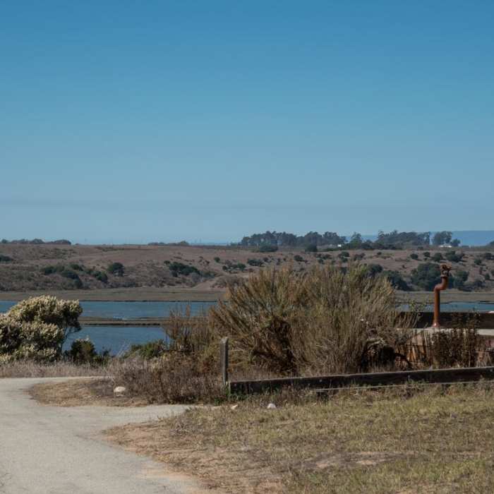 Near South Marsh Loop Near South Marsh Loop