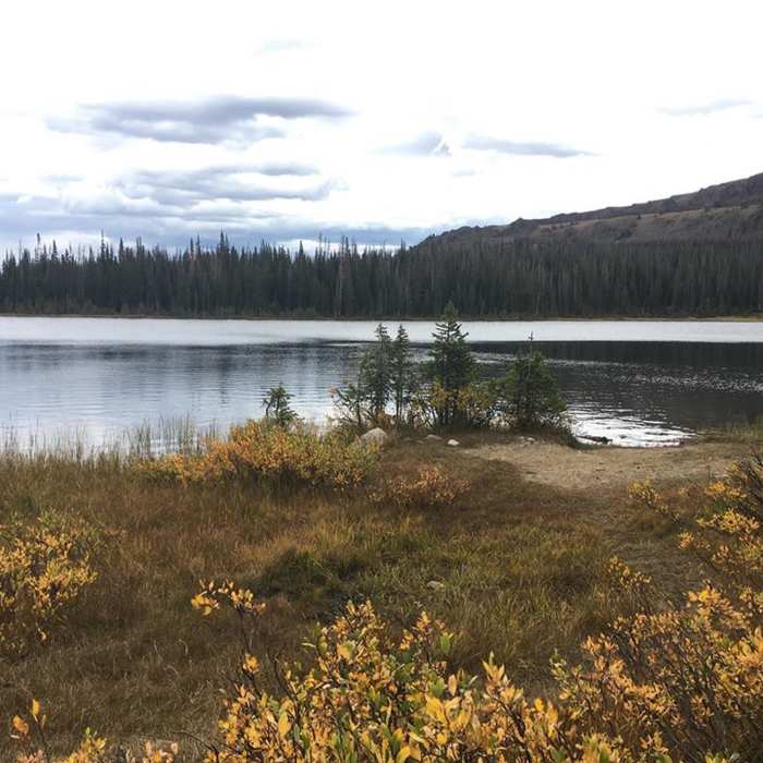Near Zimmerman Lake Trail